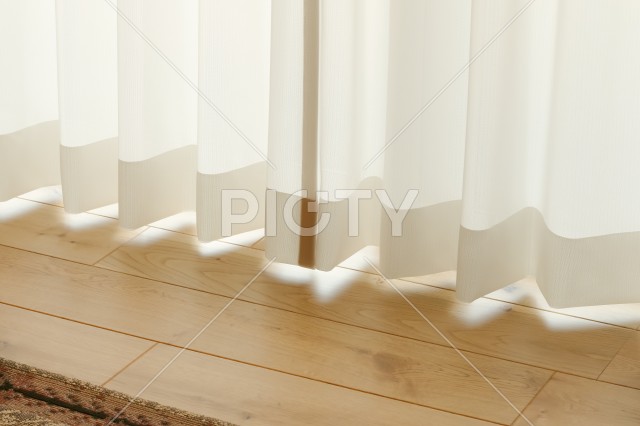 写真のタイトルが入ります