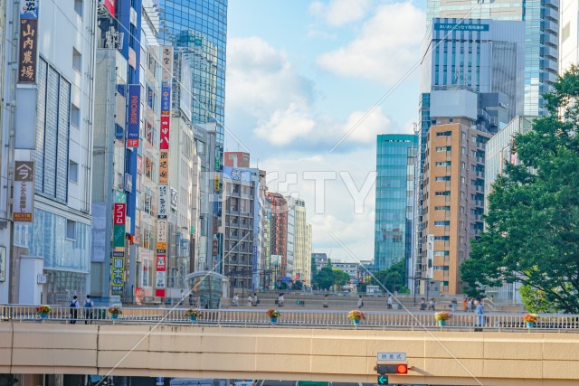 写真のタイトルが入ります