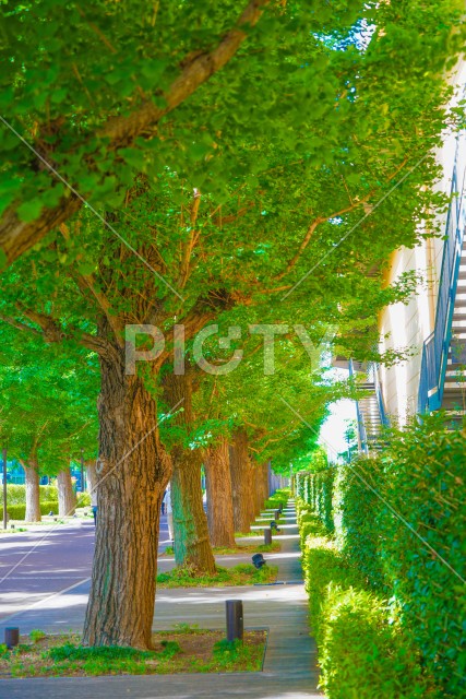 写真のタイトルが入ります