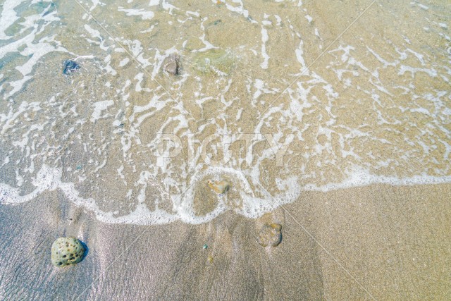 真夏の七里ヶ浜海岸（早朝）