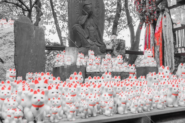 写真のタイトルが入ります