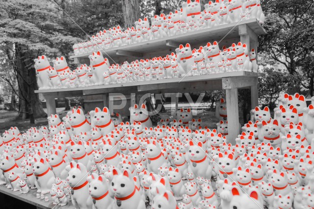 写真のタイトルが入ります