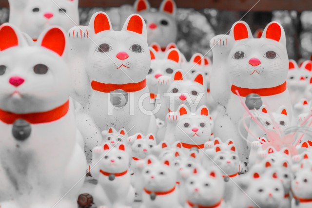 たくさんの招き猫（豪徳寺）