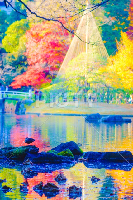 写真のタイトルが入ります
