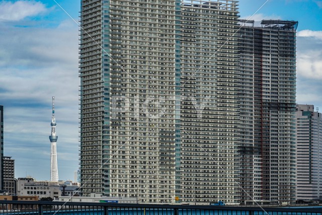 写真のタイトルが入ります
