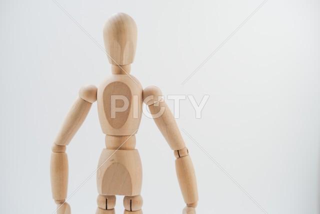 写真のタイトルが入ります