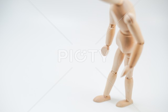 写真のタイトルが入ります