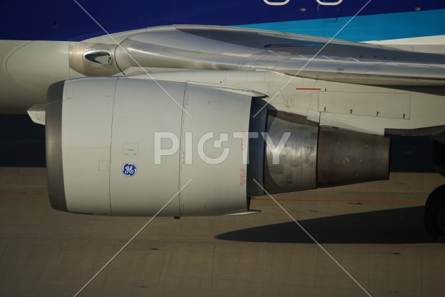 写真のタイトルが入ります