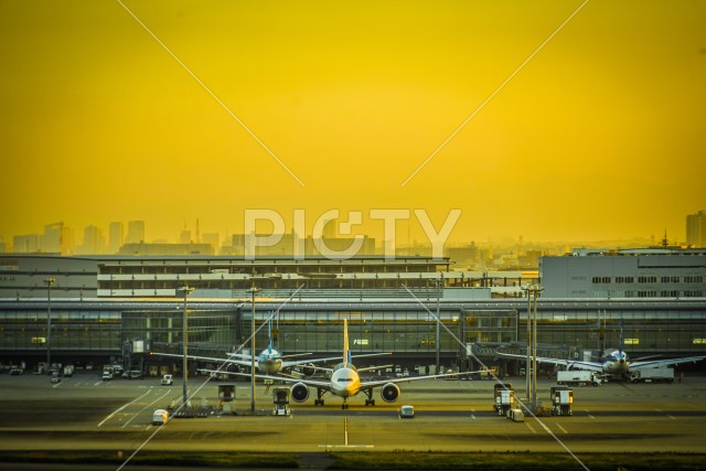 羽田空港の展望台と夕暮れ