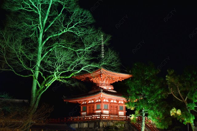写真のタイトルが入ります