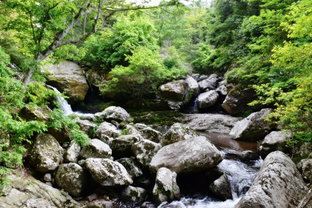 写真のタイトルが入ります
