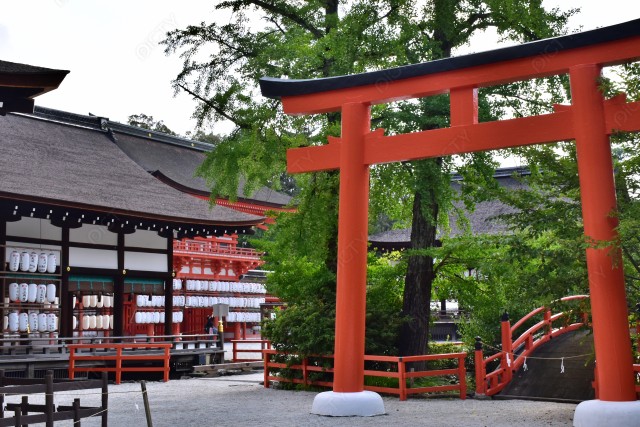 写真のタイトルが入ります
