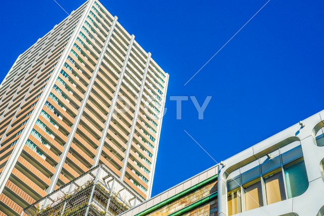 武蔵小杉の高層マンション群