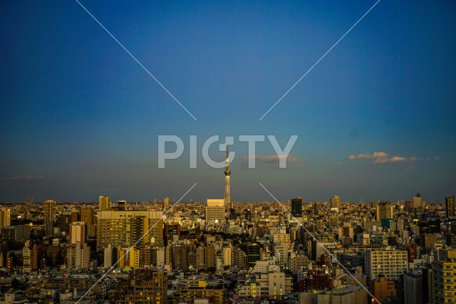 文京シビックセンターからの夕景（スカイツリー方面）