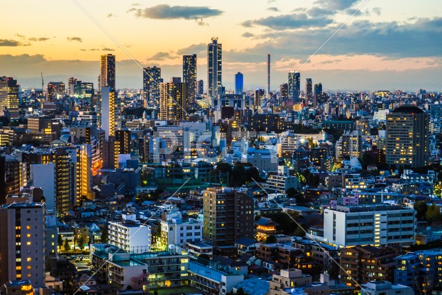 文京シビックセンターからの夕景（池袋方面）
