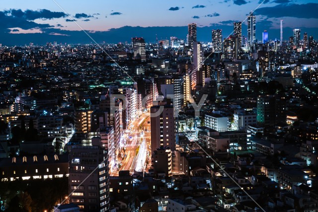写真のタイトルが入ります