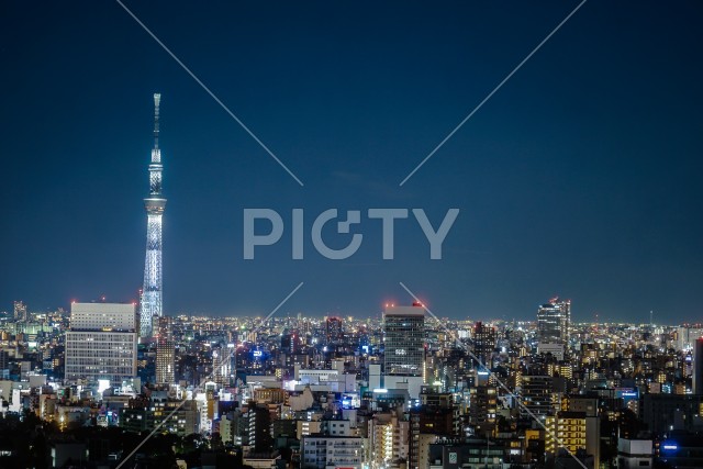 文京シビックセンターから見えるスカイツリー