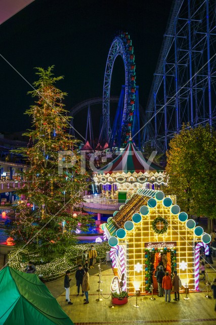 写真のタイトルが入ります