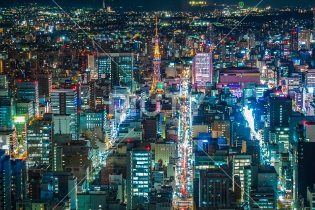 写真のタイトルが入ります
