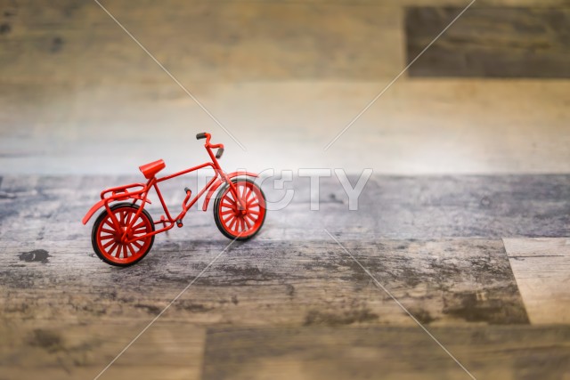 写真のタイトルが入ります