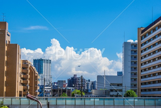 写真のタイトルが入ります