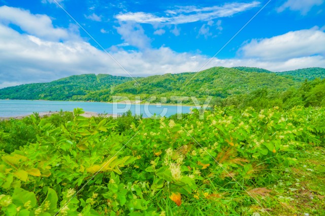 忠別湖ダム（北海道上川郡）