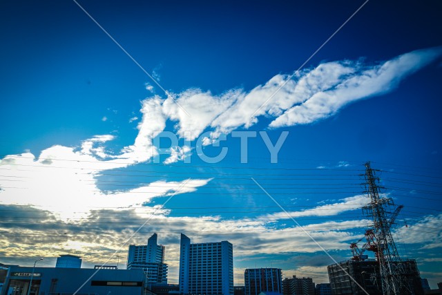 写真のタイトルが入ります