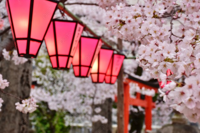 写真のタイトルが入ります