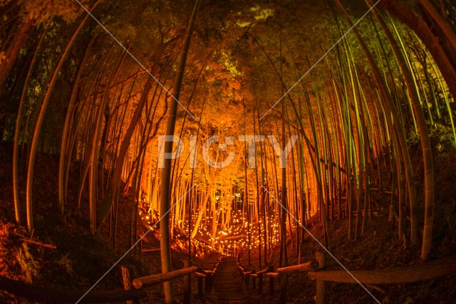 写真のタイトルが入ります