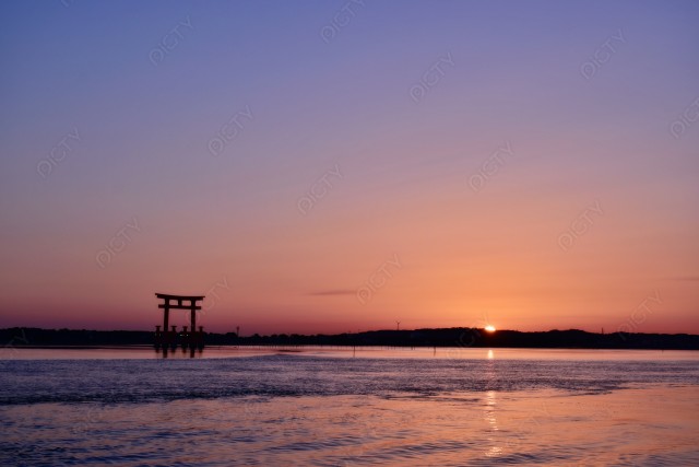 写真のタイトルが入ります