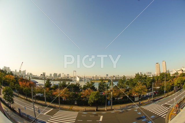 東京都お台場の街並みと夕景