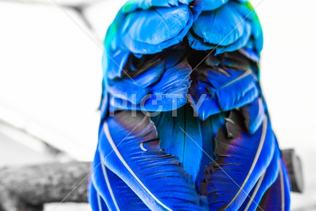 写真のタイトルが入ります