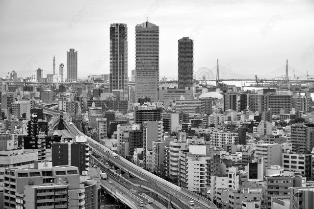 写真のタイトルが入ります