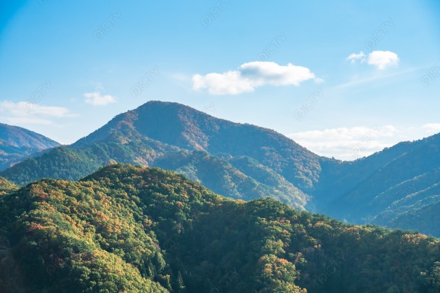 写真のタイトルが入ります