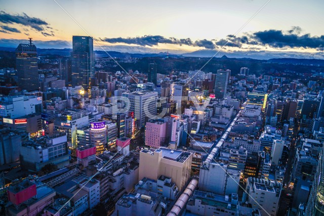 写真のタイトルが入ります