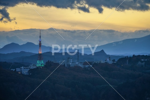 写真のタイトルが入ります