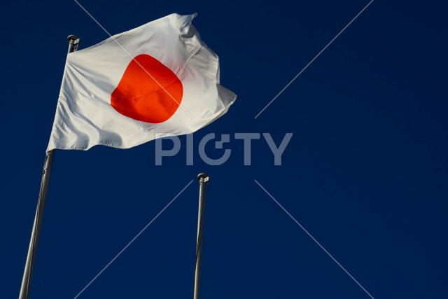 写真のタイトルが入ります