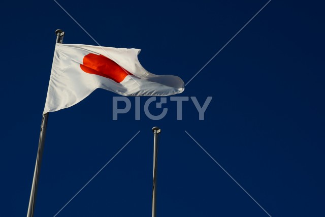 写真のタイトルが入ります