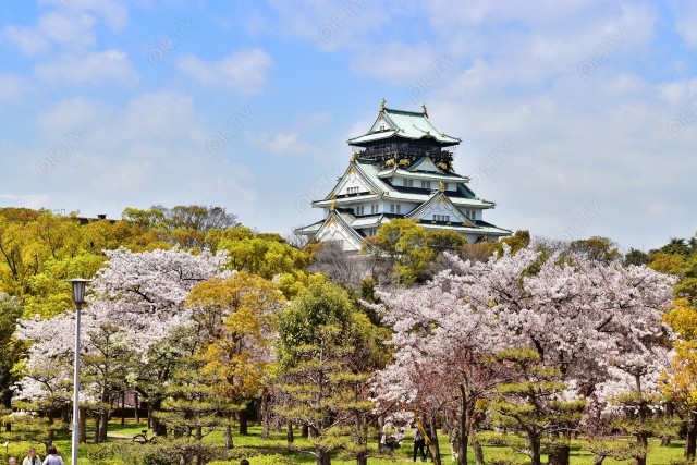 写真のタイトルが入ります