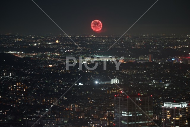 写真のタイトルが入ります
