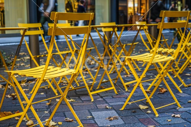 写真のタイトルが入ります