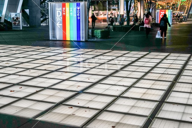 写真のタイトルが入ります