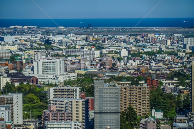 写真のタイトルが入ります