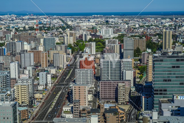 写真のタイトルが入ります