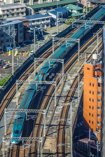 写真のタイトルが入ります