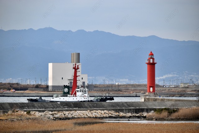 写真のタイトルが入ります