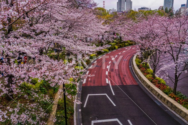 写真のタイトルが入ります