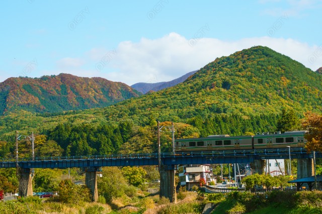 写真のタイトルが入ります