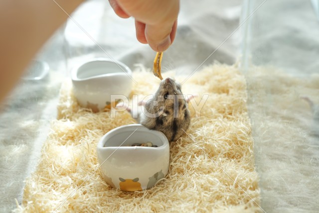写真のタイトルが入ります