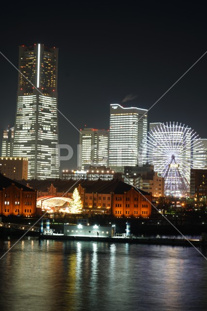写真のタイトルが入ります